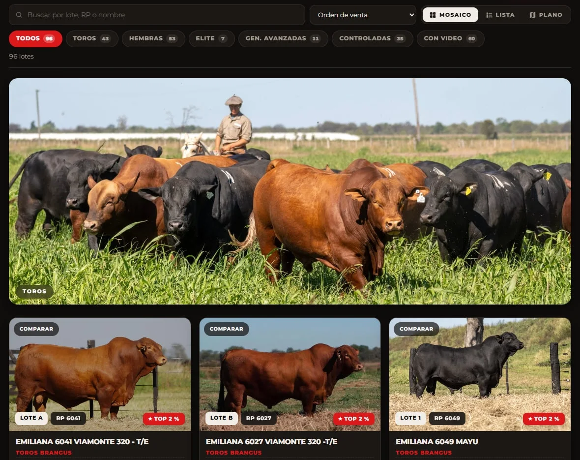 Catálogo web de Cabaña La Emiliana: buscador, filtros por categoría y las fichas de los toros con foto, RP y ranking