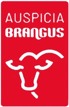 Brangus