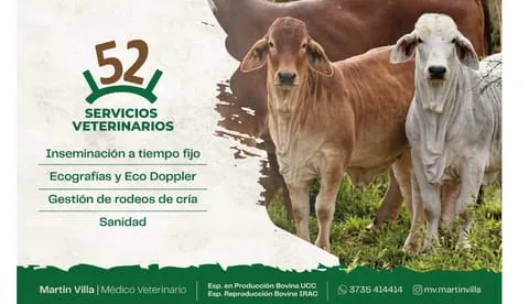 52 Servicios Veterinarios